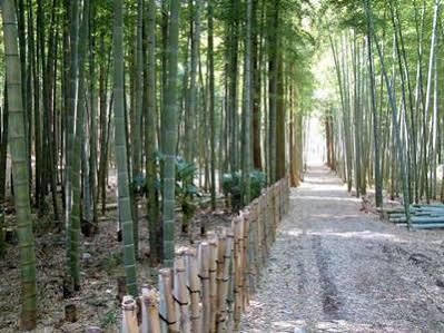 Auberge La Olive 伊東市 エクステリア 写真